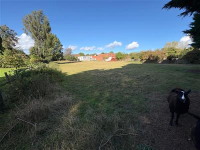 Picture 23